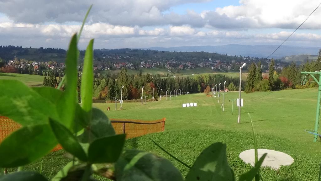 Wanta Apartment Bukowina Tatrzanska Luaran gambar